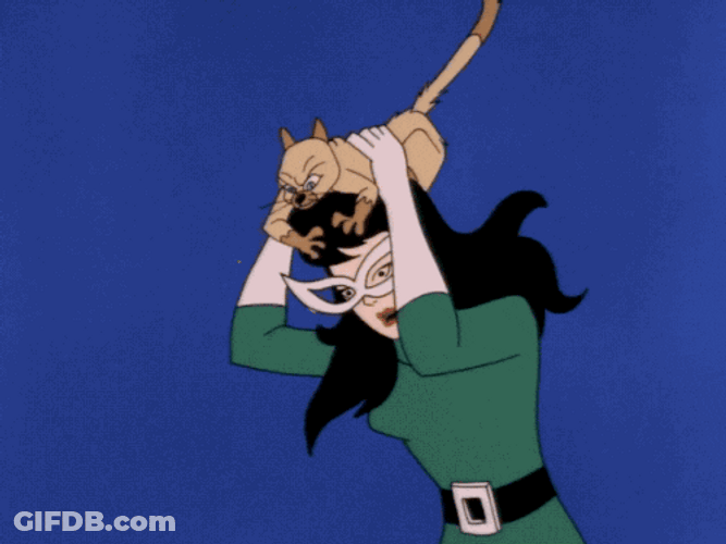 60S DC Comics Cat Woman GIF