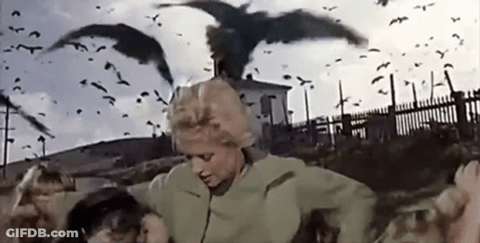 60S Horror Movie Scene GIF