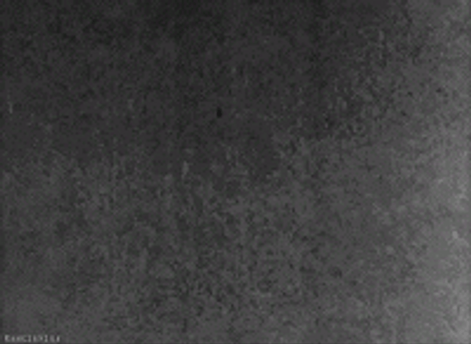 666 Film Numbers GIF