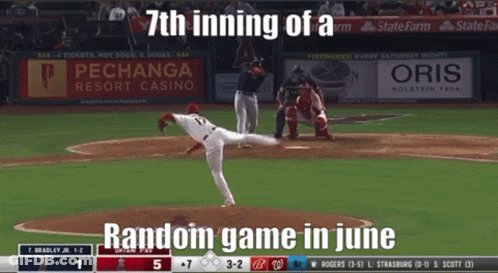 7Th Inning Of June Baseball Game GIF