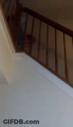 8 Year Old Producer Accidentally Creates Remix GIF