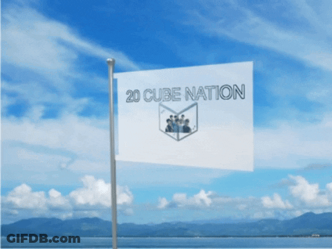 A 20 Cube Nation Flag Is Flying In The Wind GIF