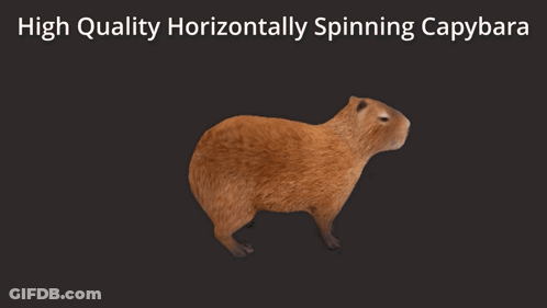 A 3D Model Of A Capybara With The Words High Quality Horizontally Spinning Capybara Above It GIF