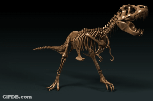 A 3D Model Of A Dinosaur Skeleton Walking GIF