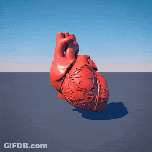 A 3D Model Of A Human Heart On A Blue Background GIF