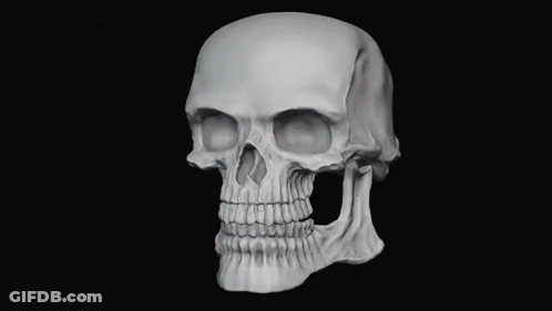 A 3D Model Of A Human Skull With A Mouth Open And Teeth On A Black Background . GIF