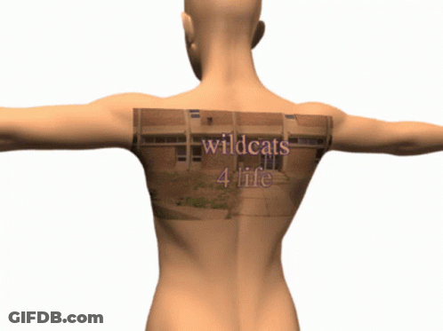 A 3D Model Of A Person With The Words Wildcats 4 Life Written On Their Back GIF