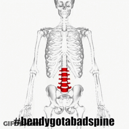 A 3D Model Of A Skeleton With A Red Spine GIF