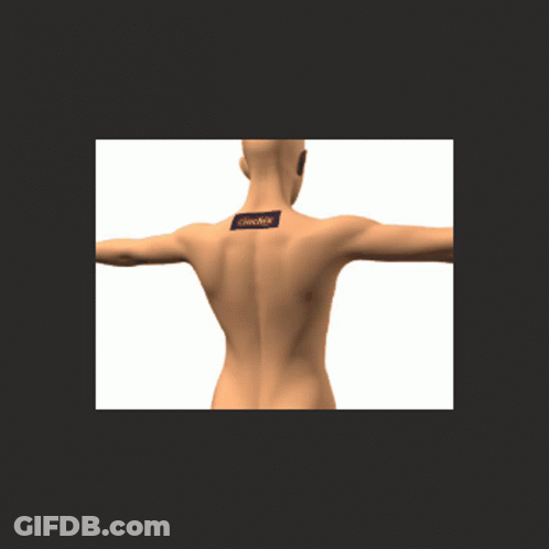 A 3D Model Of A Woman 'S Back With A Sticker On It That Says ' Abercrombie & Fitch ' GIF