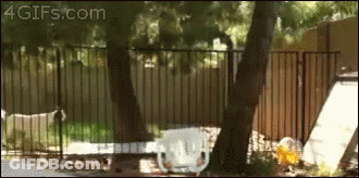 A 4Gifs.com Animated Image Of A Fenced In Area GIF