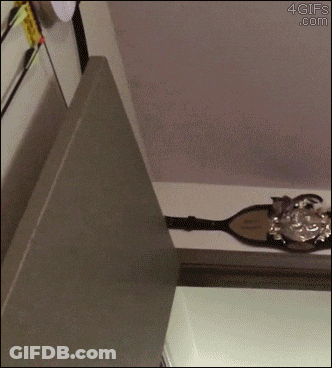A 4Gifs.com Animated Image Of A Trophy On The Wall GIF