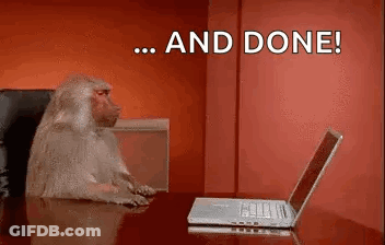 A Baboon Is Sitting At A Desk With A Laptop Computer . GIF