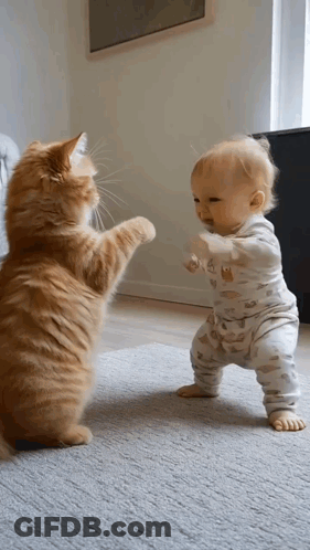 Baby And Cat Playing On Floor GIF