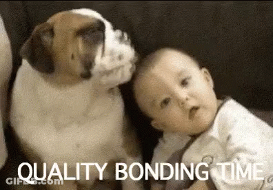 Baby And Dog Sitting On Couch Looking At Each Other GIF
