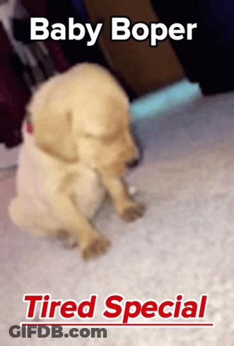 A Baby Boper Tired Special Poster With A Puppy On It GIF