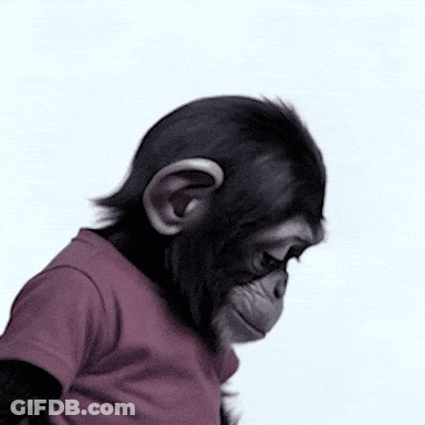 Baby Chimpanzee In Purple Shirt Looking Down GIF