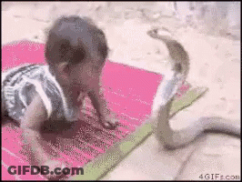 A Baby Crawling Next To A Snake On A Pink Mat GIF