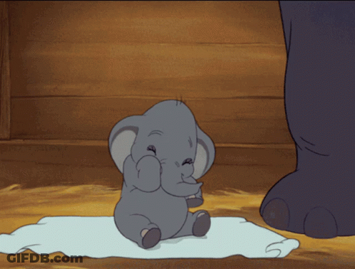 A Baby Elephant Sitting On A Towel With Its Trunk Up GIF