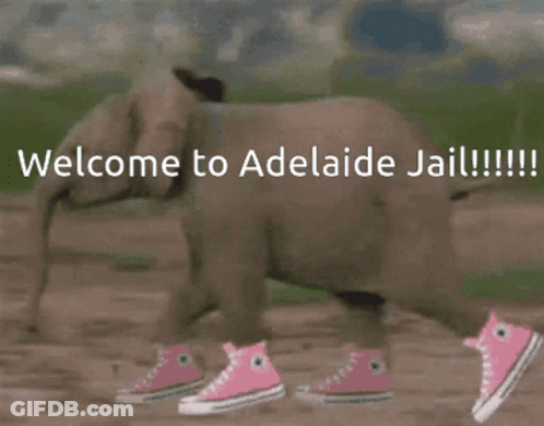 A Baby Elephant Wearing Pink Sneakers Is Walking In The Dirt GIF