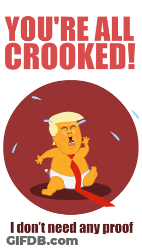 A Baby In A Diaper With The Words You 'Re All Crooked I Don 'T Need Any Proof On The Bottom GIF