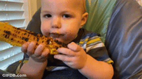 A Baby In A High Chair Is Eating Corn On The Cob GIF