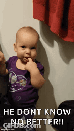 A Baby In A Purple Shirt With The Words He Dont Know No Better Written Below It GIF