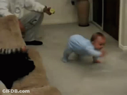 A Baby Is Crawling On The Floor In A Living Room While A Man Holds A Bottle . GIF