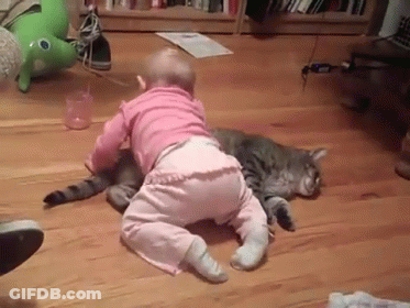 A Baby Is Crawling On Top Of A Cat On The Floor . GIF