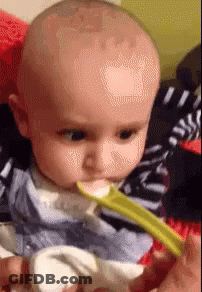 A Baby Is Eating Food With A Spoon And Looking At The Camera . GIF