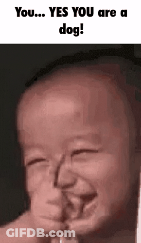 A Baby Is Making A Funny Face And Says `` Yes You Are A Dog ! '' GIF