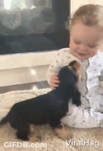 A Baby Is Petting A Small Black Dog While Sitting On The Floor .. GIF