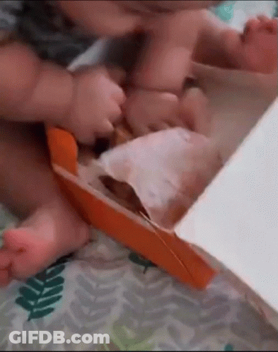A Baby Is Playing With A Box Of Food On A Bed . GIF