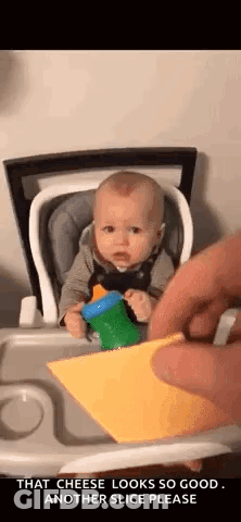 A Baby Is Sitting In A High Chair While A Person Holds A Piece Of Cheese . GIF