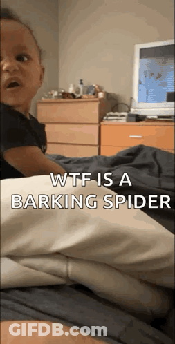A Baby Is Sitting On A Bed With The Words Wtf Is A Barking Spider GIF