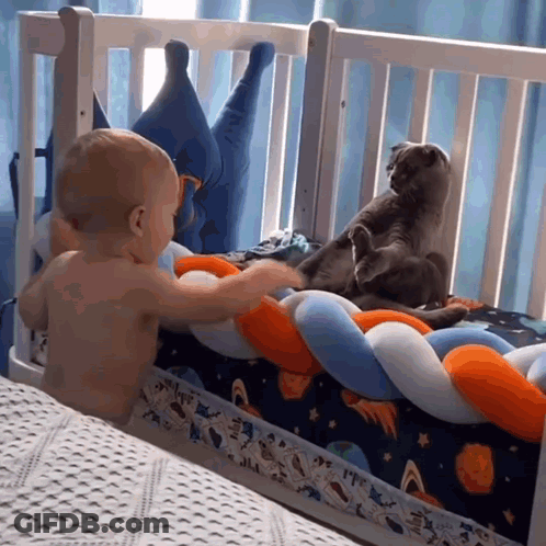 A Baby Is Standing In A Crib With Two Cats GIF