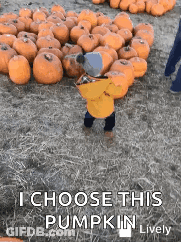 A Baby Is Standing In Front Of A Pile Of Pumpkins . GIF