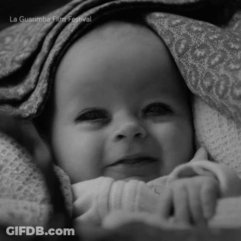 A Baby Is Wrapped In A Blanket With La Guarimba Film Festival Written On The Bottom Right GIF