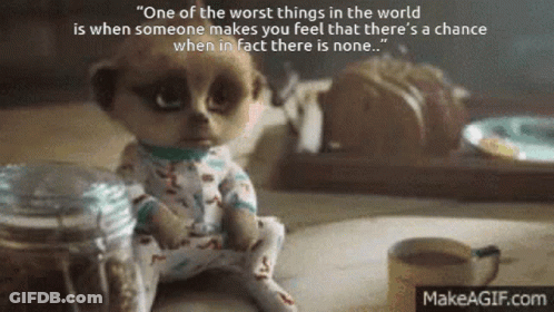 A Baby Meerkat Is Sitting On A Table Next To A Cup Of Coffee And A Jar . GIF