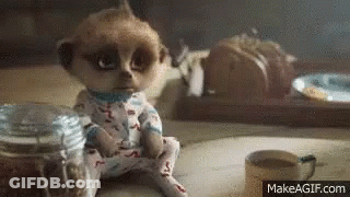 A Baby Meerkat Is Sitting On A Table Next To A Cup Of Coffee And A Jar Of Cereal . GIF