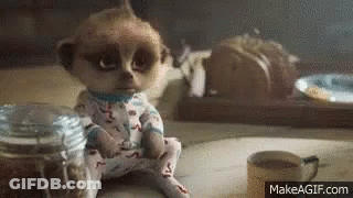A Baby Meerkat Is Sitting On A Table Next To A Cup Of Coffee And A Jar . GIF