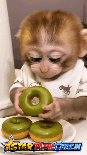 A Baby Monkey Is Eating A Green Donut On A Plate With Star Tamilchat.in Written On The Bottom GIF
