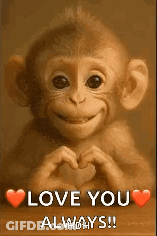 A Baby Monkey Is Making A Heart Shape With Its Hands And Smiling . GIF
