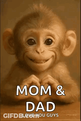 A Baby Monkey Is Making A Heart With Its Hands And Smiling . GIF