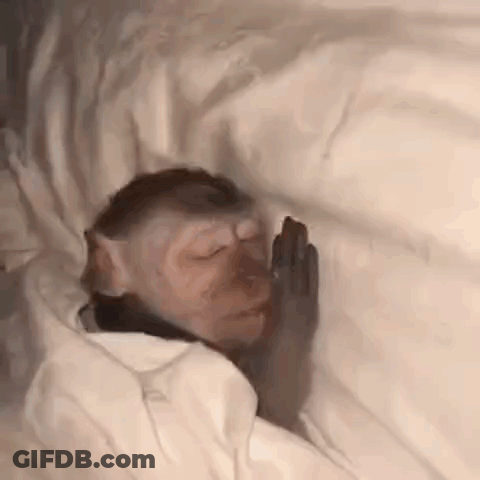 A Baby Monkey Is Sleeping On A Bed With Its Hands On Its Face . GIF