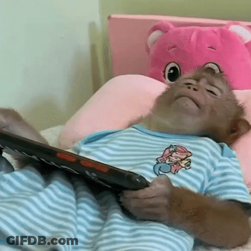 A Baby Monkey Laying On A Bed With A Book GIF
