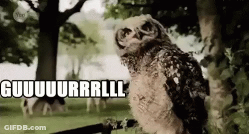 A Baby Owl Is Standing Next To A Tree In A Park And Making A Funny Face . GIF