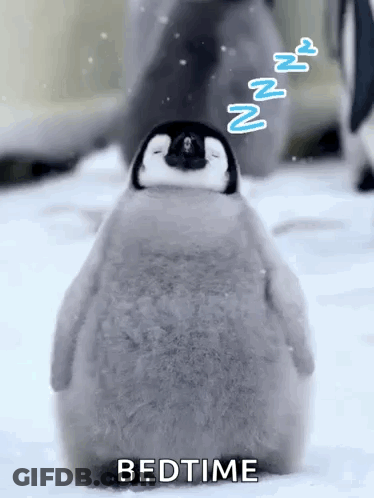A Baby Penguin Is Sleeping In The Snow While Another Penguin Looks On . GIF