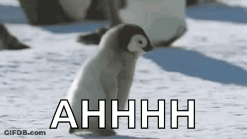 A Baby Penguin Is Standing In The Snow With The Word Ahhhh Written Above It . GIF