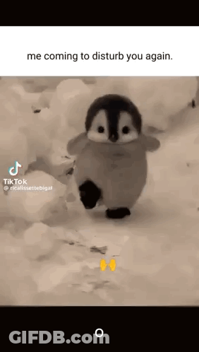 A Baby Penguin Is Walking In The Snow And Says `` Me Coming To Disturb You Again '' . GIF