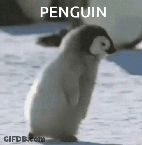 A Baby Penguin Is Walking In The Snow With The Word Penguin Written Above It . GIF